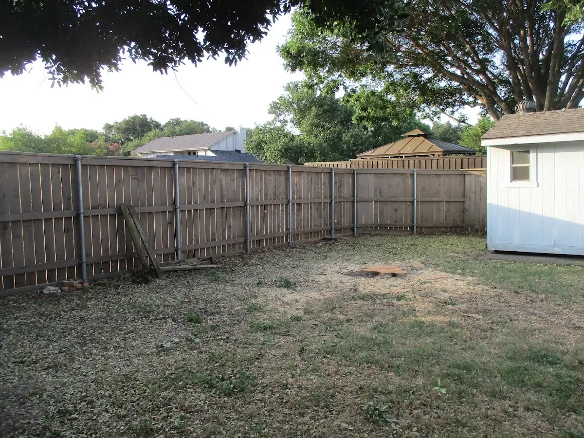 Cleared yard after professional tree removal in Mc Grann