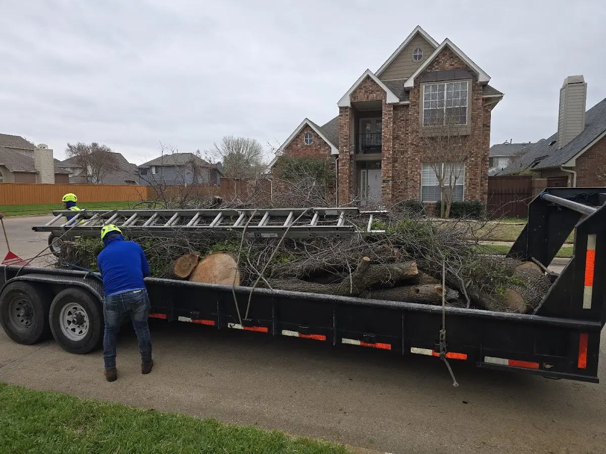 Expert Tree Removal with proper safety equipment in Mc Grann